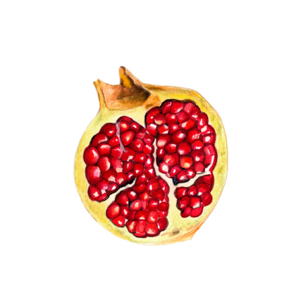Illustraciones Marinie. Frutas. Granada.
