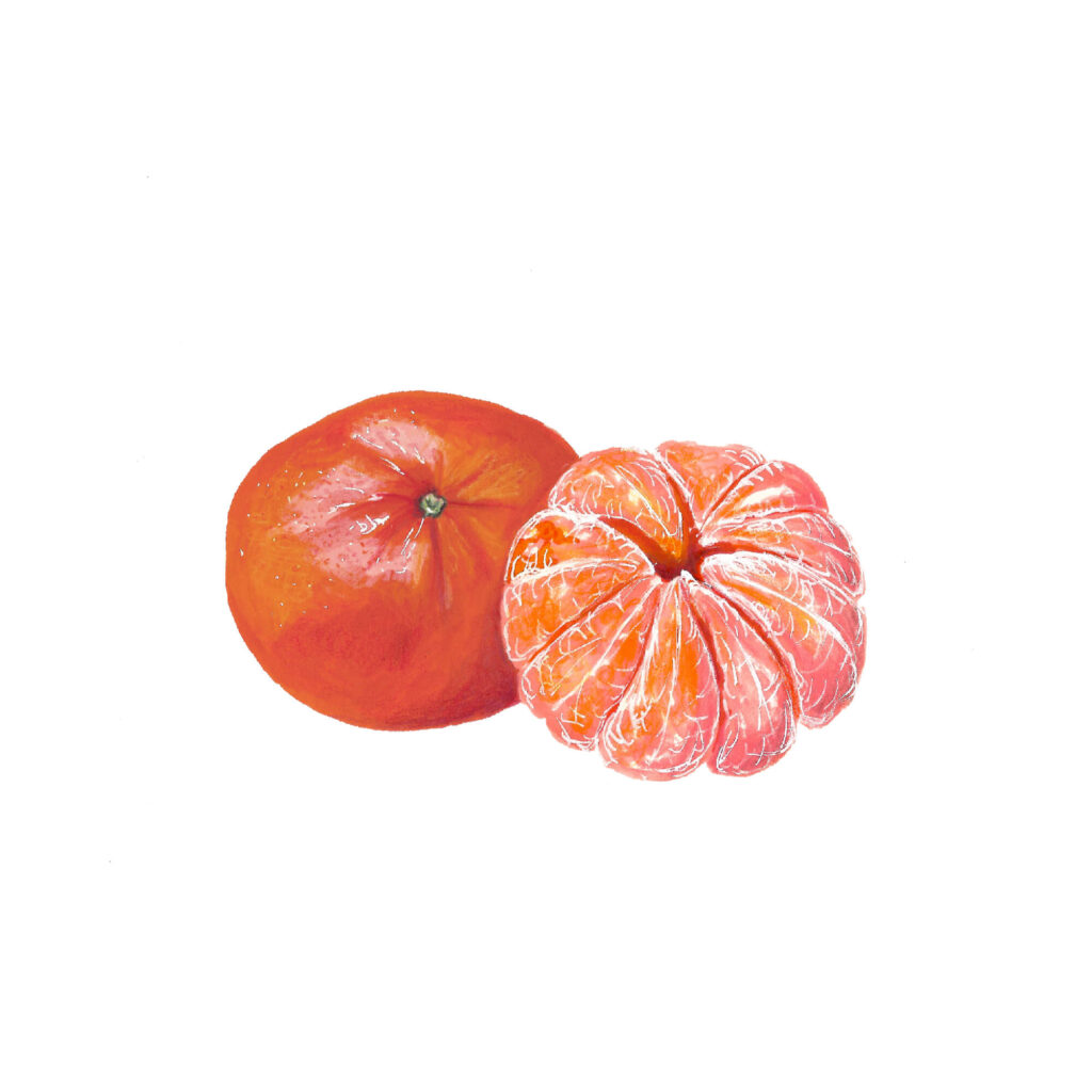 mandarina-marinie-ruiz-de-caba-as