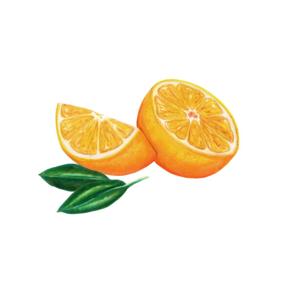 Illustraciones Marinie. Frutas. Naranja