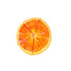 Illustraciones Marinie. Frutas. Naranja Sencilla.