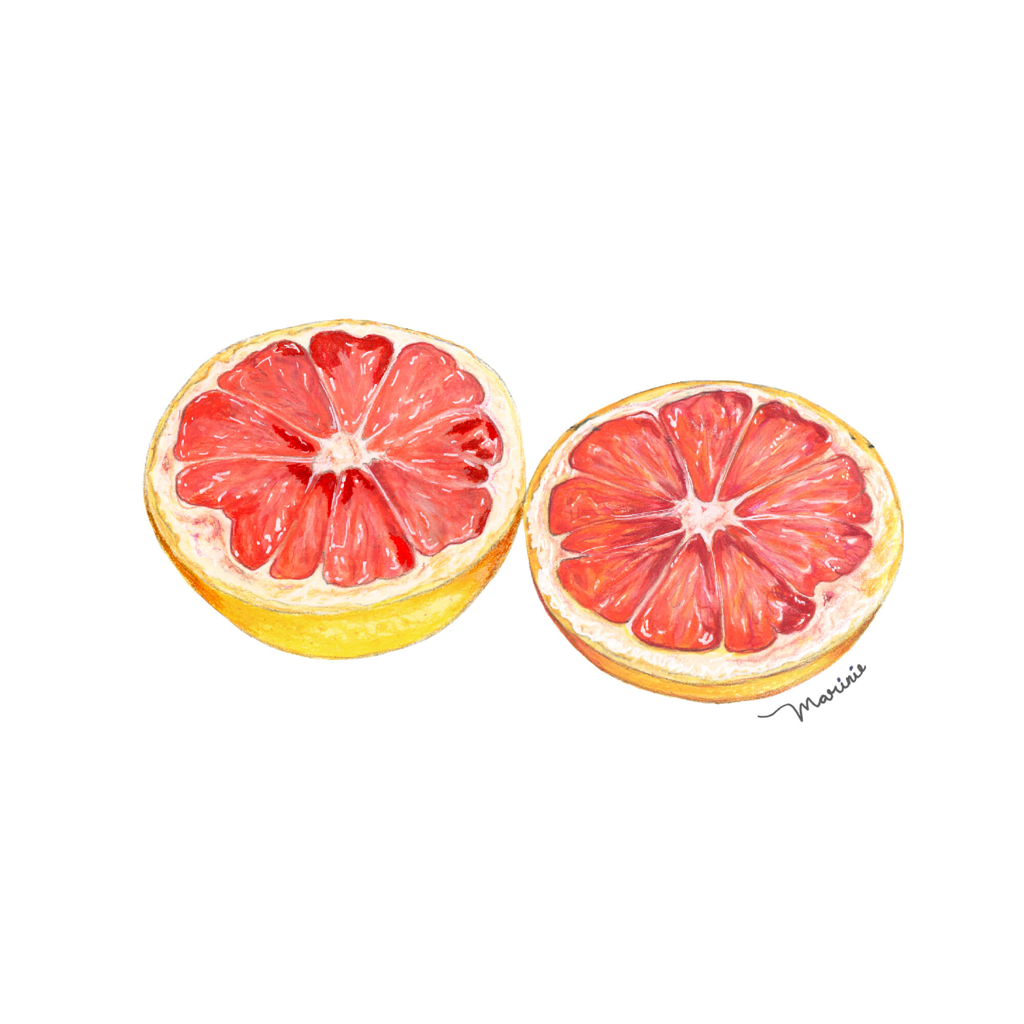 Illustraciones Marinie. Frutas. Toronjas.